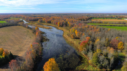 A Creek in Autumn