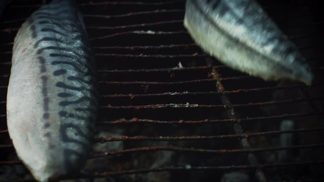 4k Grill Cooking Barbecue Fish