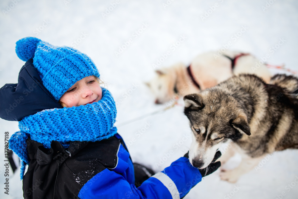 Wall mural little girl with husky dog