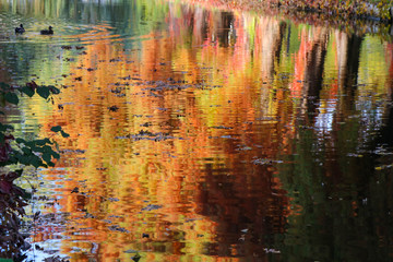 Autumn colors reflected in the lake