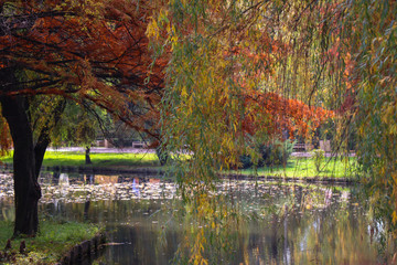 An autumn look of a lake
