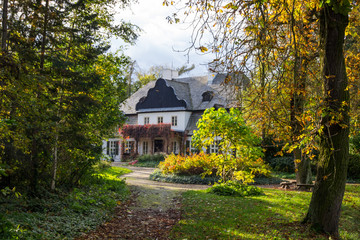 autumn colors in the park