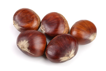sweet chestnut isolated on white background