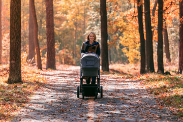 A young mother with a stroller walks through the autumn park. Walking with an infant in the open air in a pine forest. Newborn, family, child, parenthood.