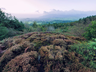 Early Autumn countryside morning,Northern Ireland