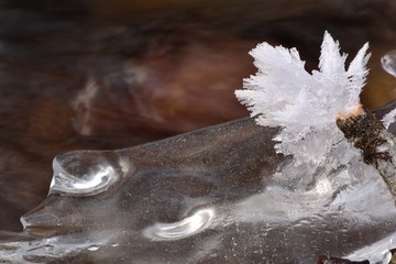 Close up of an ice flower formed on water