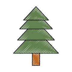 pine tree icon over white background vector illustration