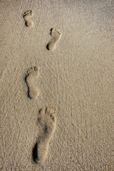 Human footprints in the sand