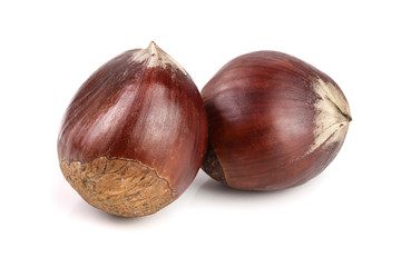 fresh edible chestnut isolated on white background