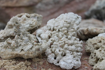 Corals lying on a deserted beach near Malaysia