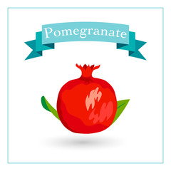 Pomegranate vector illustration. Fruit vector icon with ribbon.