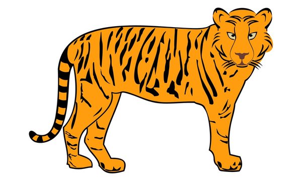 tiger image turned