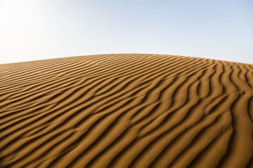 Thar Desert 1 - 177831922