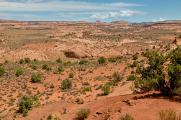 Dry Fork of Coyote Gulch on Kaiparowits Plateau from  Dry Fork trailhead
Hole in the Rock Road, Grand Staircase Escalante National Monument, Garfield County, Utah, USA