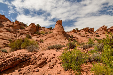 red sandstone domes on the slopes of Coyote Gulch
Grand Staircase Escalante National Monument, Garfield County, Utah, USA