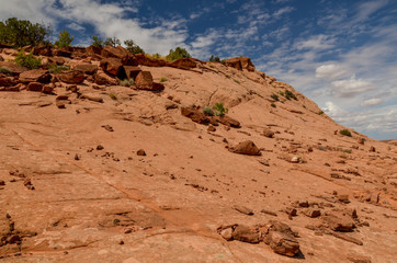 red stones on the polished slope of Coyote Gulch
Grand Staircase Escalante National Monument, Garfield County, Utah, USA