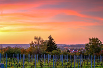 Fototapeta na wymiar Sunset near Freinsheim