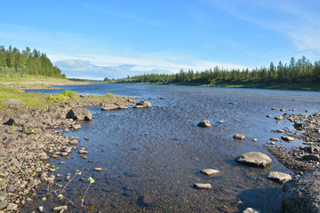 Summer in the Polar Urals, the river Sob.