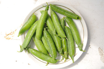 Young green peas