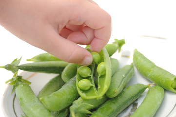Young green peas