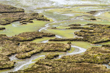 aerial view of swamp