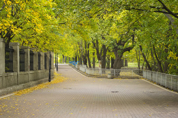 Inside the Maryinsky Park