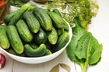 vegetables from the garden on the table