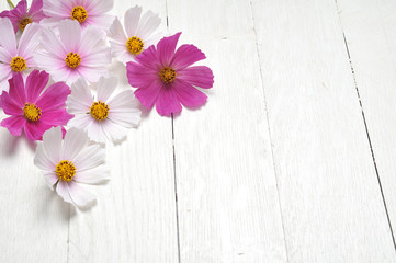 Obraz premium Chamomile on a wooden table
