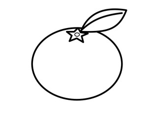 みかん(線画、葉)
