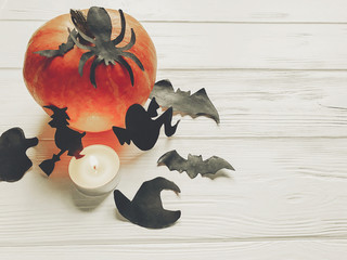 halloween. happy halloween concept. pumpkin with witch ghost bats and spider black decorations on white wooden background top view with space for text. seasonal greetings, holiday celebration