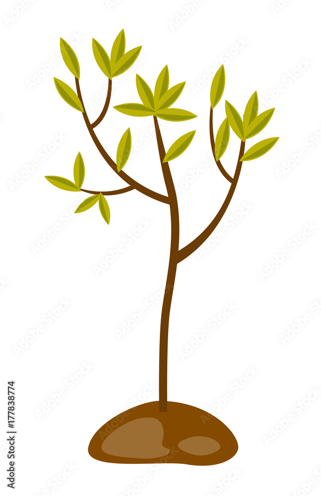 Poster young tree growing in the soil