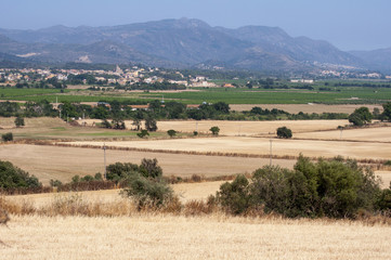 Obraz premium Drought in the fields in the countryside