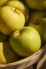 Lancaster County, Pennsylvania, Penna, Amish Country, American, agriculture, farming, harvest, fall, autumn, food, market, display, fresh, whole, raw, ripe, apples, golden, green, gem