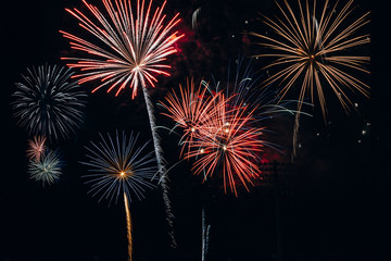 Obraz premium Firework 