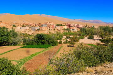 Landscape of a typical moroccan berber village with oasis in the valley