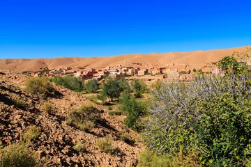 Foto op Plexiglas Landscape of a typical moroccan berber village with oasis in the valley © pwollinga