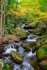 Obraz premium Autumn River Cascades