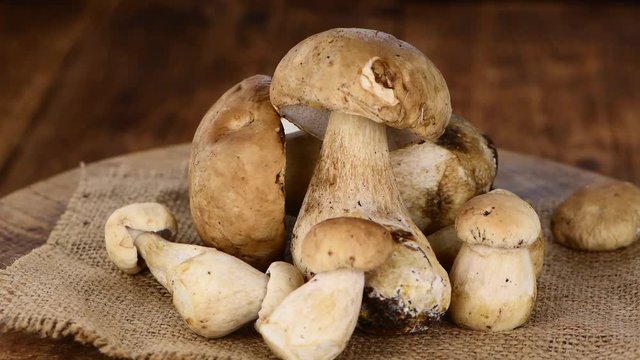 Porcini mushrooms (raw) as seamless loopable 4K footage