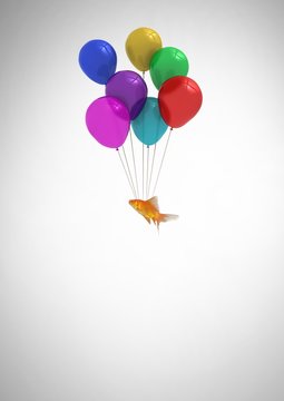 Fish Floating Tied To Balloons