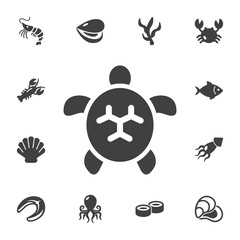Turtle icon.