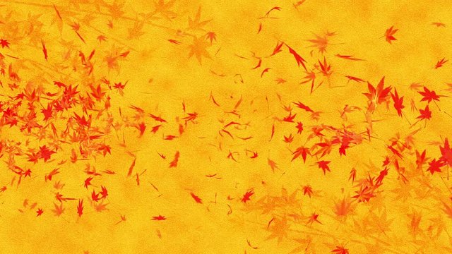 紅葉 モミジ 舞う 落葉 金色 ループ