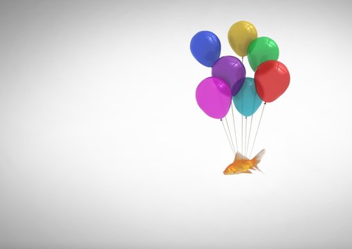 fish tied to balloons