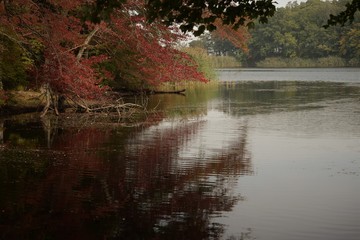 Fototapeta premium Lake view 