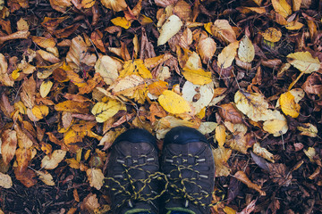 Feet on the yellow autumn leaves in the forest