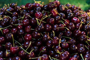 Bing Cherries