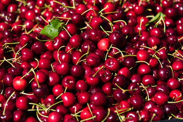 Cherries at Farmer's Market