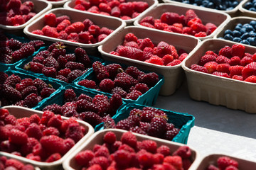 Assorted Berries at Farmer's Market