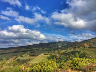 Naklejka premium el Camino de peregrino