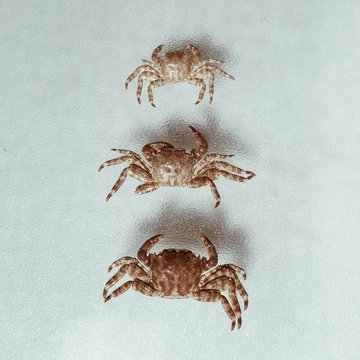 Edding Bilder Durchsuchen 3,217 Archivfotos, und