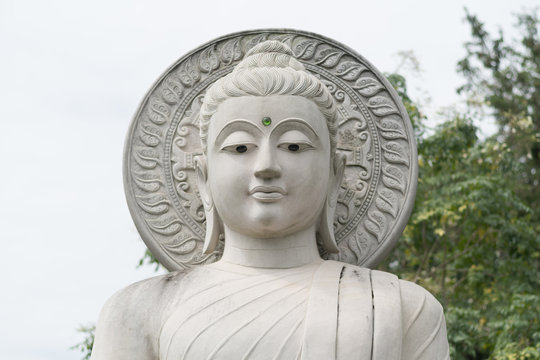 close up buddha